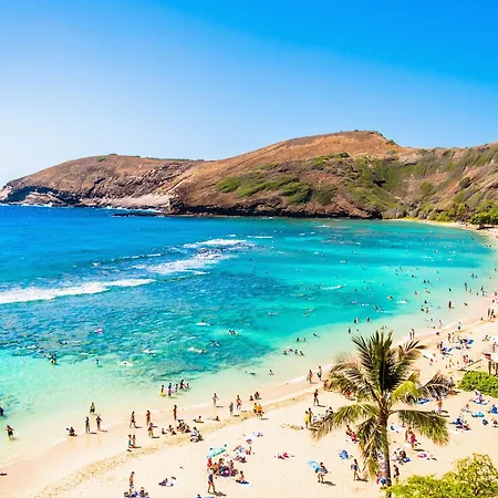 1Br With Great City Views, 3 Mins To Waikiki Beach!